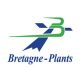 Bretagne-Plants_large